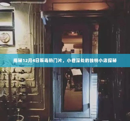揭秘,小巷深处的独特小店暗藏贩毒热点,探秘12月4日毒品交易内幕