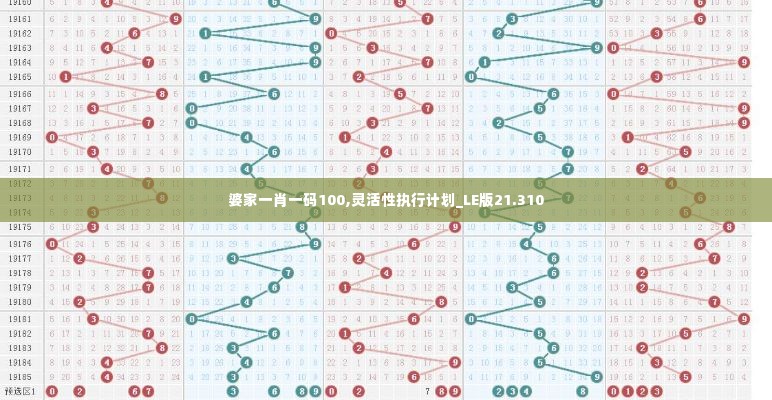 婆家一肖一码100,灵活性执行计划_LE版21.310