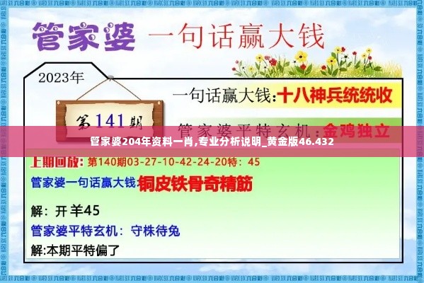 管家婆204年资料一肖,专业分析说明_黄金版46.432