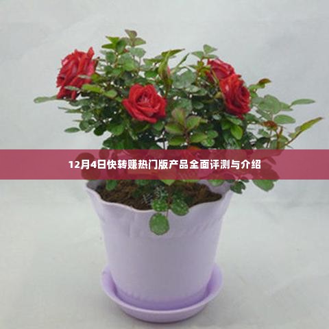 12月4日快转赚热门版产品全面评测与详解