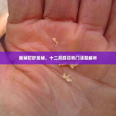 揭秘耵聍奥秘,十二月四日热议焦点解析