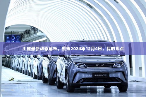 川威最新动态解析及展望,聚焦2024年12月4日,个人观点分享