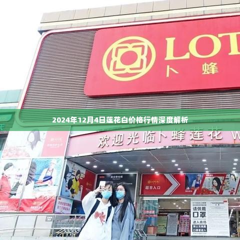 2024年莲花白价格行情深度解析报告
