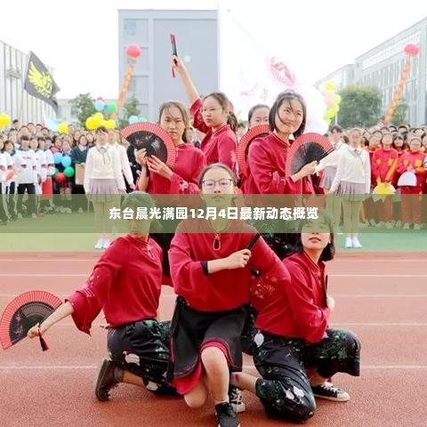 东台晨光满园最新动态报道,12月4日更新概览