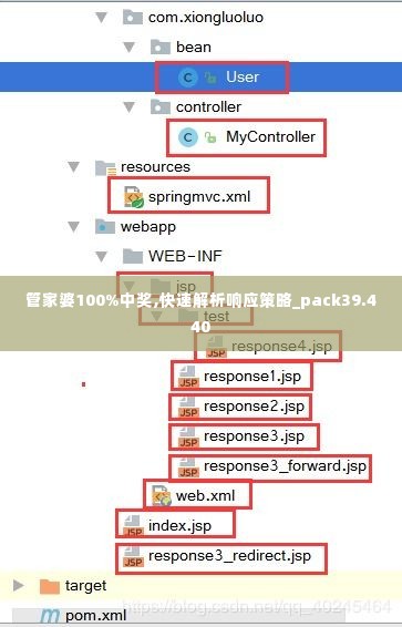 管家婆100%中奖,快速解析响应策略_pack39.440