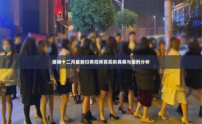 揭秘十二月扫黄视频真相与案例分析,深度探究背后的故事