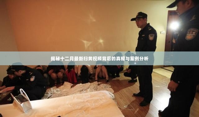 揭秘十二月扫黄视频真相与案例分析,深度探究背后的故事