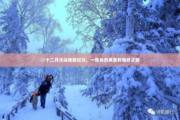 射飞逐走 第6页