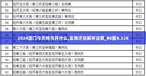 2024澳门今天特马开什么,实地评估解析说明_NE版8.328