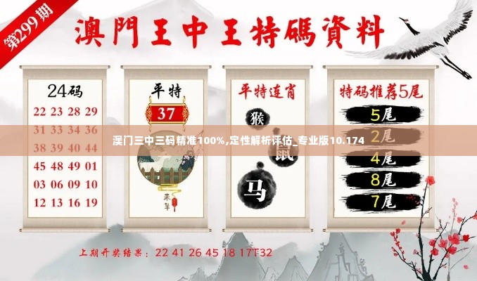 澳门三中三码精准100%,定性解析评估_专业版10.174