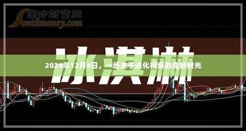 进化视频奇妙时光,探索未来的进化之旅