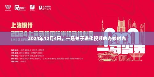 进化视频奇妙时光,探索未来的进化之旅