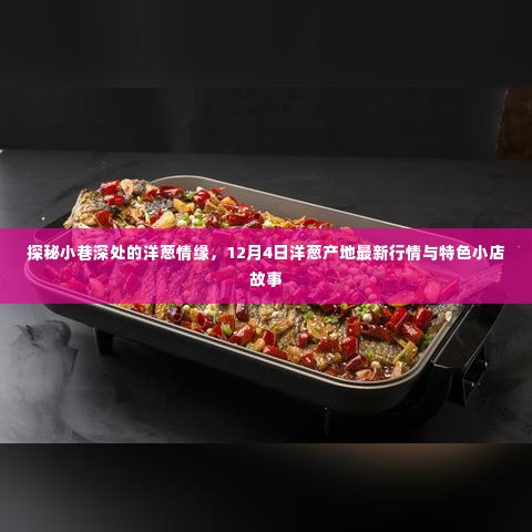 探秘小巷深处的洋葱情缘,最新产地行情与特色小店故事(12月4日)