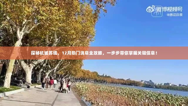 探秘杭城苏堤,十二月热门消息全攻略掌握关键信息之旅
