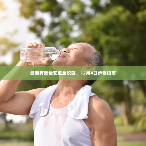 最新有效量获取全攻略,12月4日步骤详解