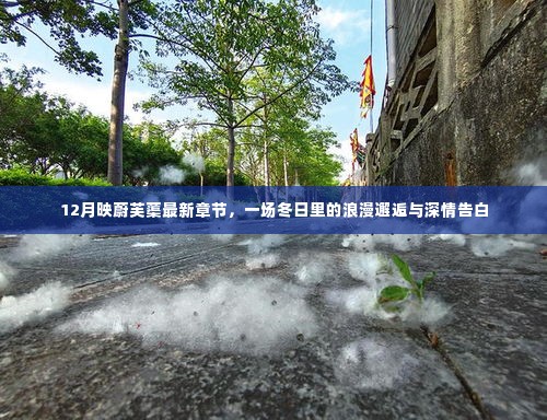 冬日邂逅与深情告白,映蔚芙蕖最新章节