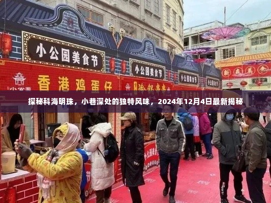 科海明珠的神秘面纱,小巷深处的独特风味揭秘(最新更新)
