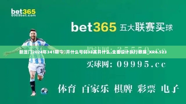 新澳门2024年341期今睌开什么号码32其开什么,全面设计执行数据_XR6.523