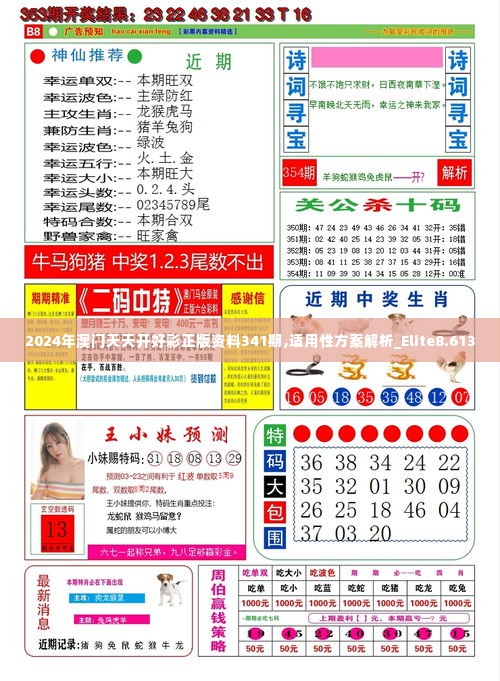 2024年澳门天天开好彩正版资料341期,适用性方案解析_Elite8.613