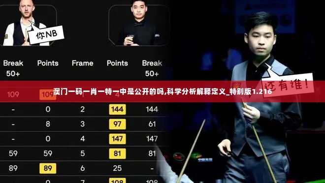 澳门一码一肖一特一中是公开的吗,科学分析解释定义_特别版1.216