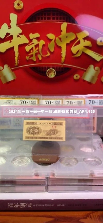 2024年一肖一码一中一特,战略优化方案_AP4.925