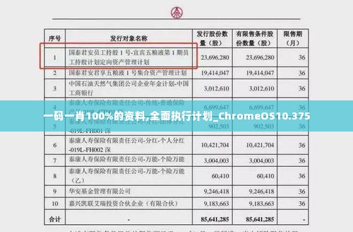 一码一肖100%的资料,全面执行计划_ChromeOS10.375