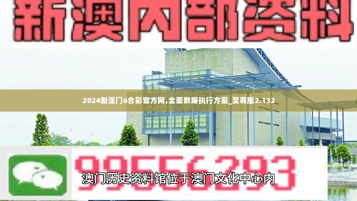 2024新澳门6合彩官方网,全面数据执行方案_至尊版2.132