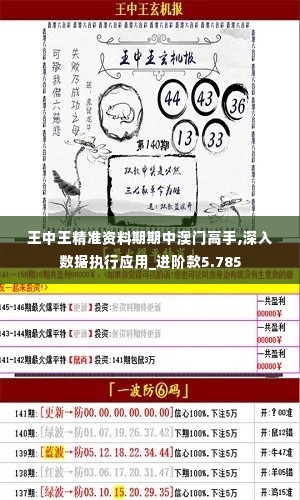 王中王精准资料期期中澳门高手,深入数据执行应用_进阶款5.785