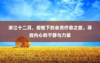 浙江十二月，疫情下的自然疗愈之旅，探寻内心宁静与力量之源