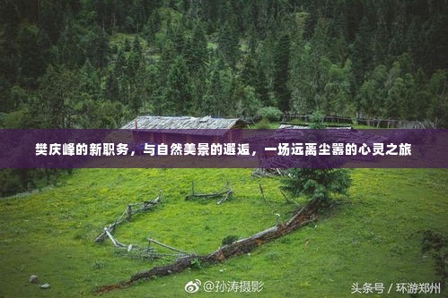 樊庆峰的新职务,自然美景的心灵之旅