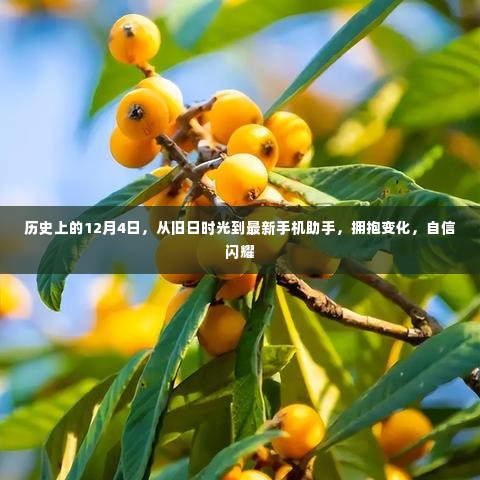 历史上的12月4日,从旧时光到现代科技,拥抱变化展现自信风采