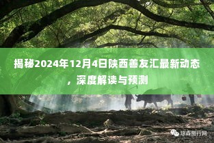陕西善友汇最新动态揭秘,深度解读与预测,聚焦2024年12月4日发展动向