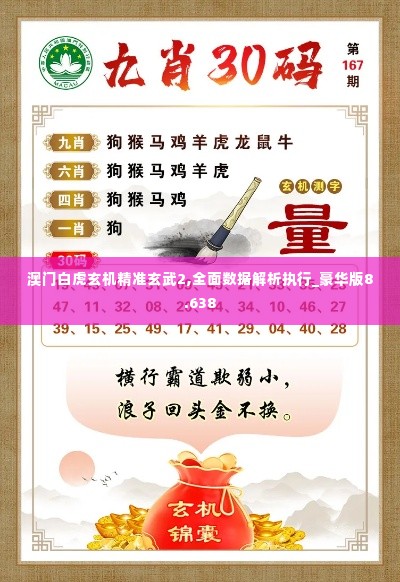 澳门白虎玄机精准玄武2,全面数据解析执行_豪华版8.638