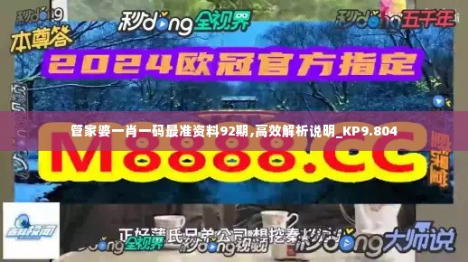 管家婆一肖一码最准资料92期,高效解析说明_KP9.804