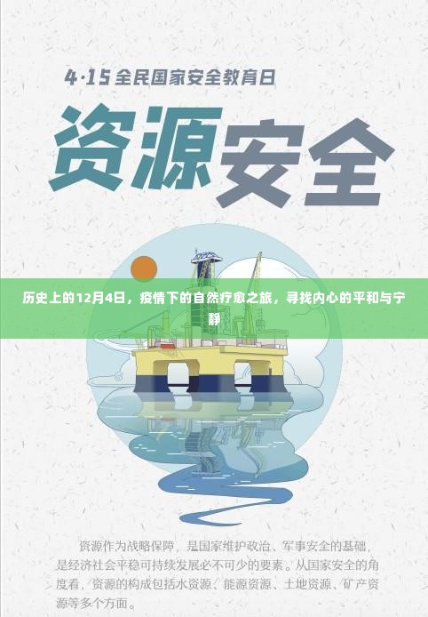 12月4日历史回顾,疫情中的自然疗愈之旅,探寻内心平和宁静之道
