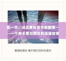 那一天,诉讼纷雪中的爱与陪伴