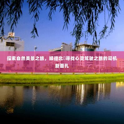 顺德北滘心灵驾驶之旅,自然美景探索与司机新面孔的寻访