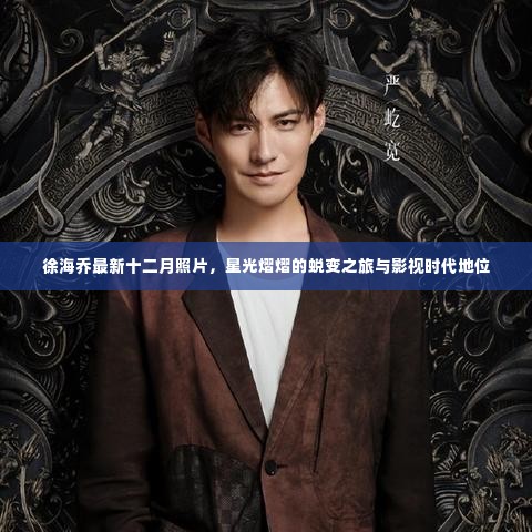 徐海乔十二月星光璀璨照,影视时代的蜕变之旅与地位提升