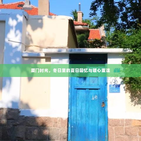 厦门时光,冬日里的夏日回忆与重逢的暖意