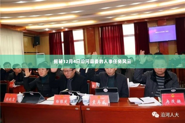 沿河县委人事任免风云揭秘,12月4日重磅人事调整动态