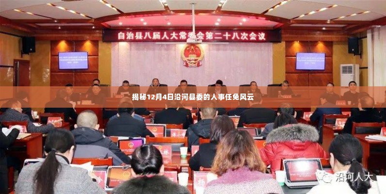 沿河县委人事任免风云揭秘,12月4日重磅人事调整动态
