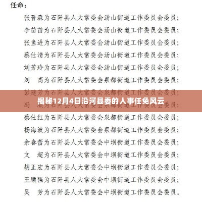 沿河县委人事任免风云揭秘,12月4日重磅人事调整动态