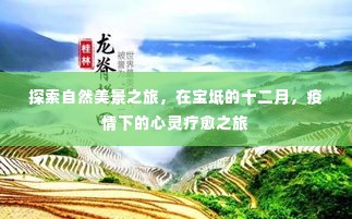 宝坻十二月心灵疗愈之旅,自然美景下的探索与放松