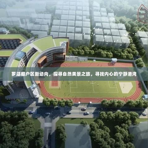 罗湖棚户区新动向，探寻自然美景与内心宁静之旅