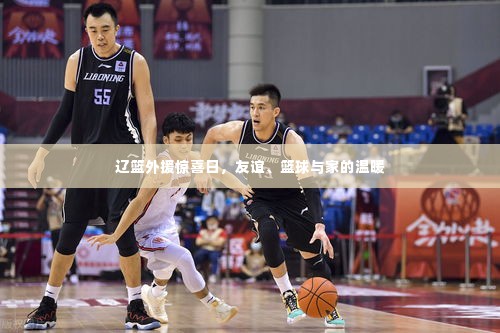 辽篮外援的篮球盛宴,友谊、家与惊喜日
