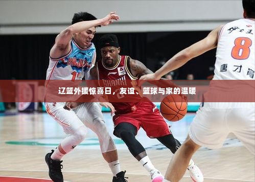 辽篮外援的篮球盛宴,友谊、家与惊喜日