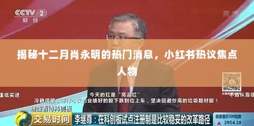 揭秘十二月肖永明的热议焦点,小红书上的热议人物揭秘