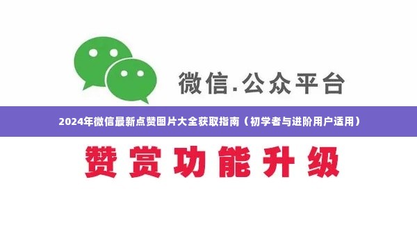 2024微信点赞图片大全获取指南,适合初学者与进阶用户