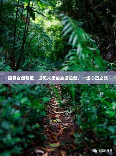 鸿飞雪爪 第5页