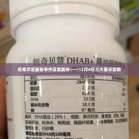 还淳反朴 第4页